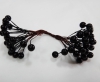 Ягода декоративная  (20 веток  )